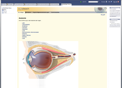 EyeTeach Screenshot (click for large view)
